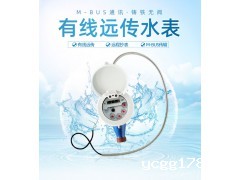 M-BUS铸铁无阀有线远传水表