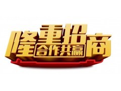 康乐县山东济南力创智能水表生产线项目招商引资简介